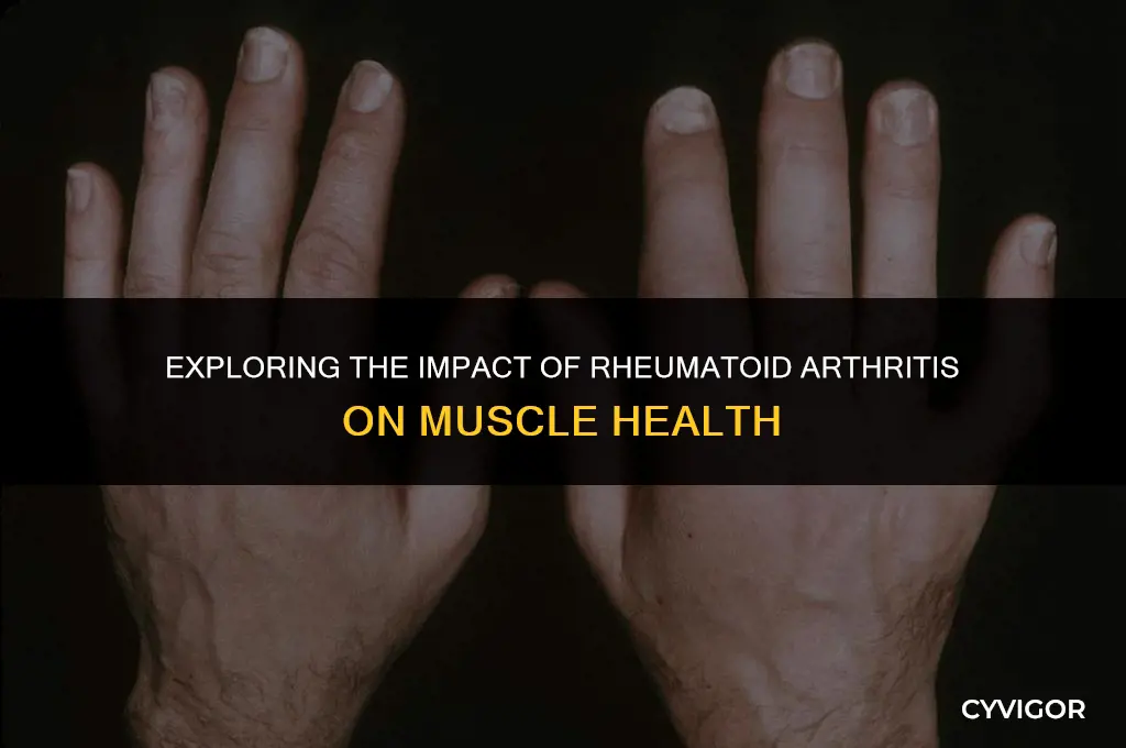 does rheumatoid arthritis affect muscles