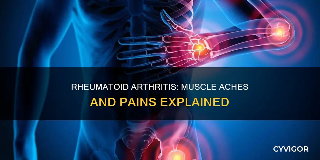 does rheumatoid arthritis cause muscle aches