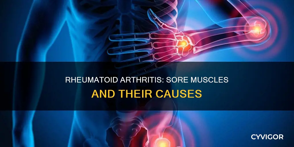 does rheumatoid arthritis cause sore muscles