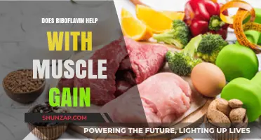 Riboflavin and Muscle Gain: Unlocking Strength and Growth Potential