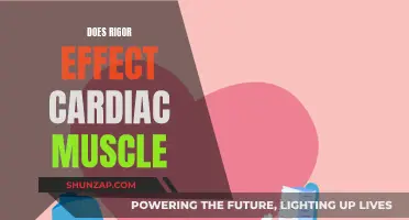 Cardiac Muscle Rigor: Impact and Implications