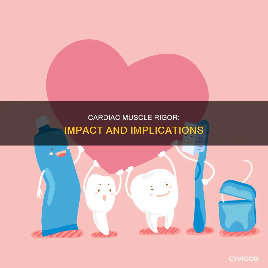 does rigor effect cardiac muscle