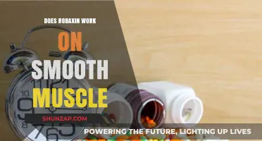 Does Robaxin Affect Smooth Muscle? Exploring Its Mechanism and Effectiveness