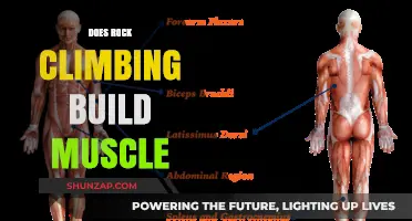 Unleashing Strength: The Muscle-Building Benefits of Rock Climbing