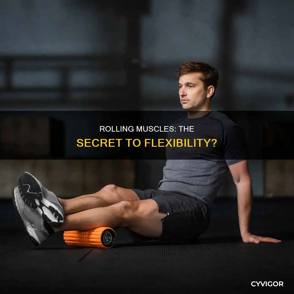 does rolling muscles increase flexibility