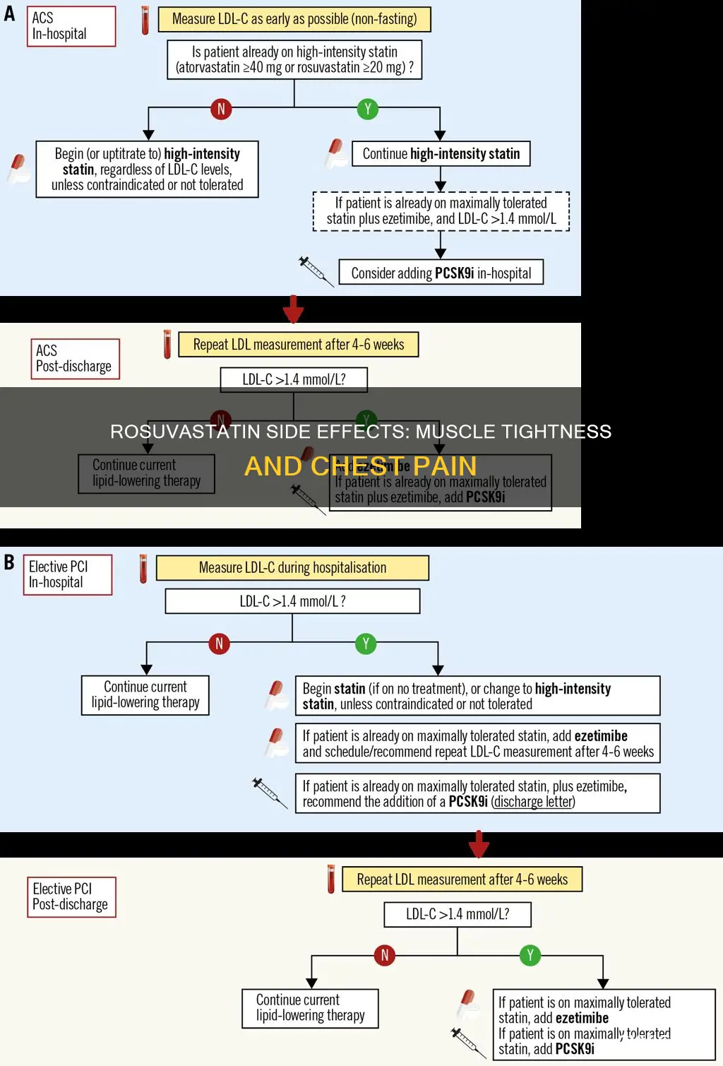 does rosuvastatin cause muscle tightness in chest