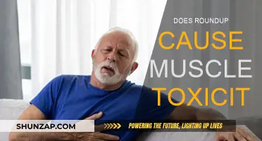 Roundup's Muscle Toxicity: What You Need to Know