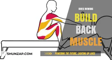 Strengthening Your Back: The Power of Rowing Revealed