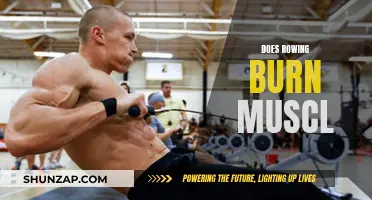 Rowing and Muscle: Burn or Build?
