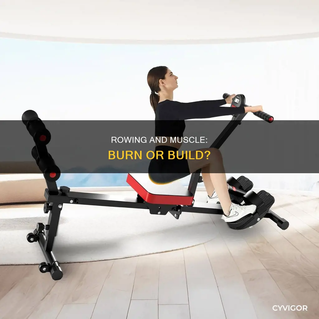 does rowing burn muscl