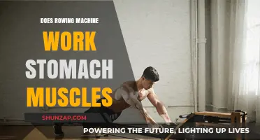Rowing Machine Benefits: Does It Tone and Strengthen Stomach Muscles?