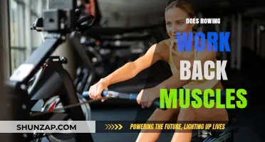 Rowing and Back Strength: Unlocking Muscle Benefits for a Stronger You