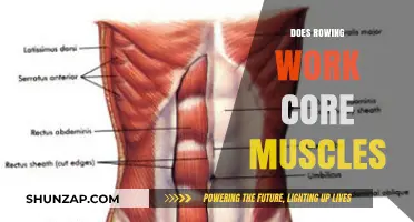 Rowing and Core Strength: Unlocking the Power of Your Midsection