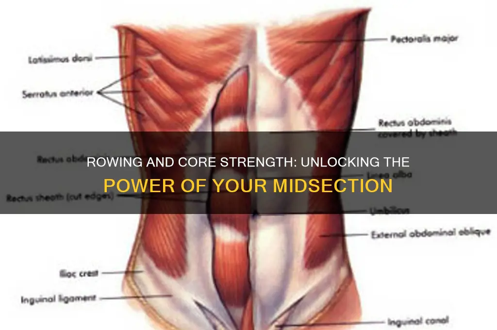 does rowing work core muscles