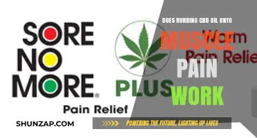 CBD Oil for Muscle Pain: Effective Topical Relief or Myth?