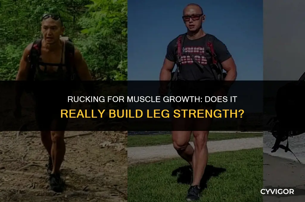 does rucking build leg muscle