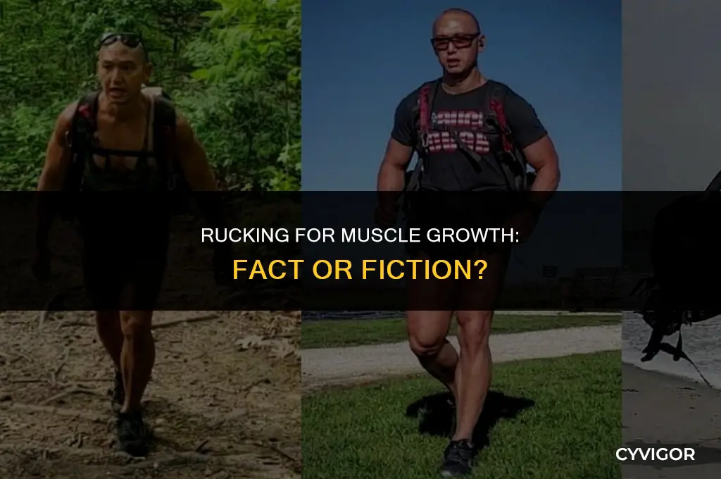 does rucking build muscle