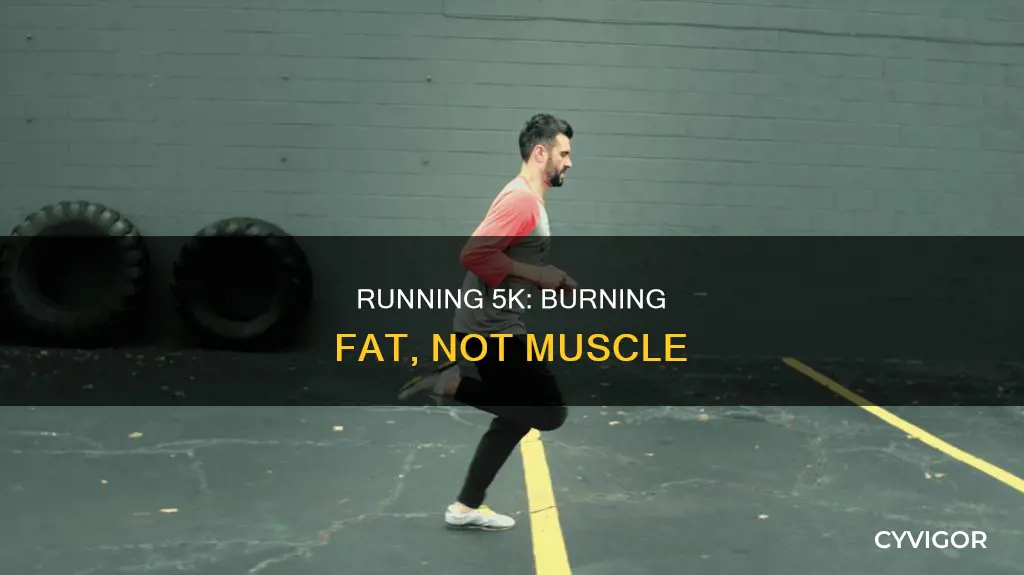 does running 5k burn muscle