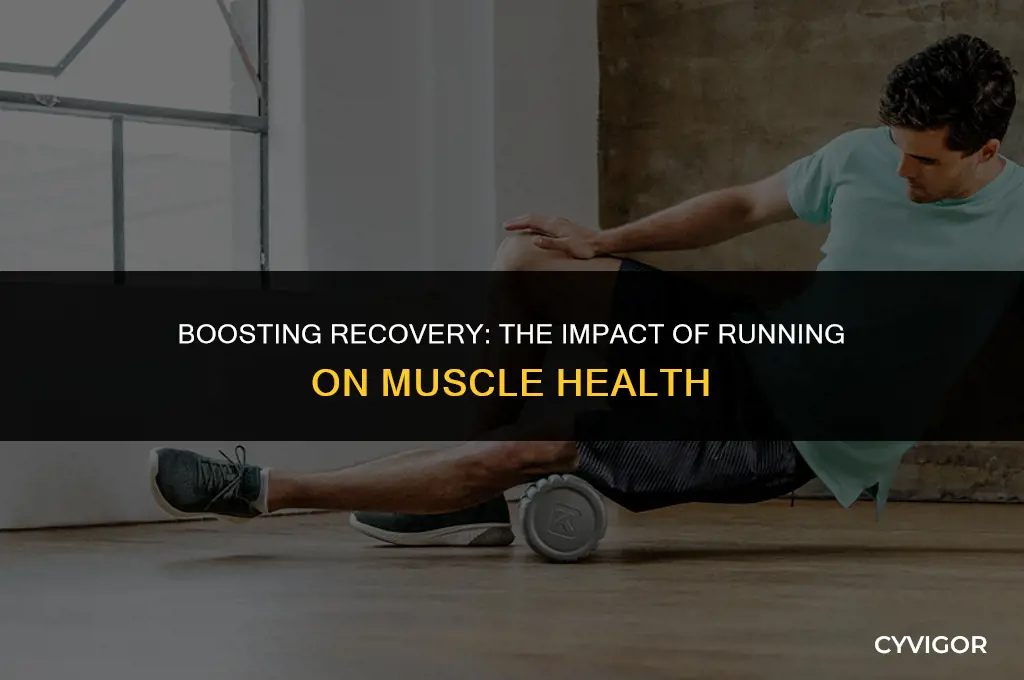 does running affect muscle recovery