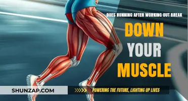 Running Post-Workout: Muscle Breakdown Myth or Fitness Fact?