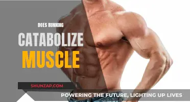 Running and Muscle Loss: What's the Real Deal?