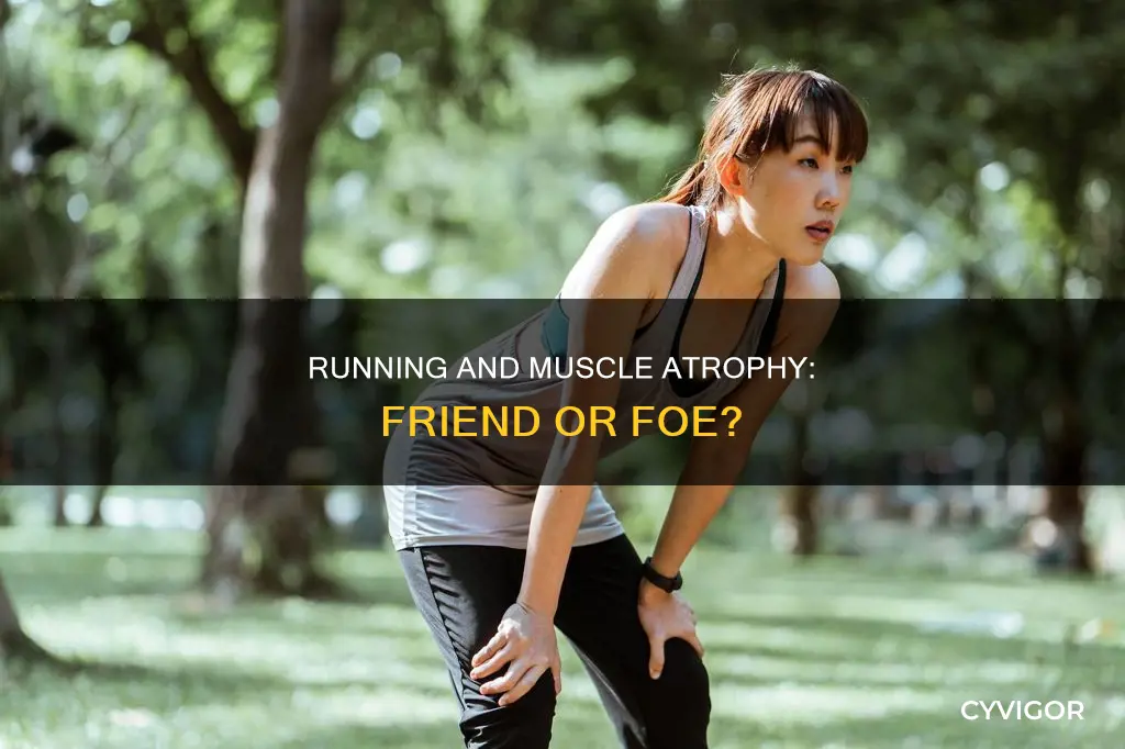 does running cause muscle atrophy