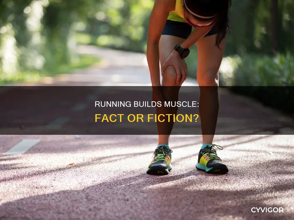 does running create muscle