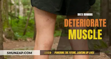 Running and Muscle: Friend or Foe?