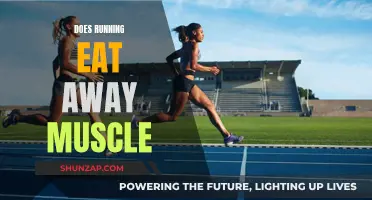Running and Muscle Loss: Friend or Foe?