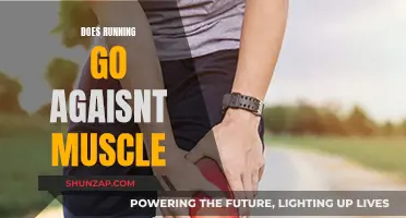 Running and Muscle Gain: Friends or Foes?