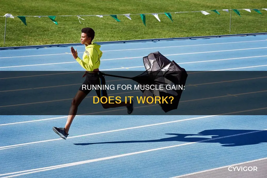 does running increase muscle size