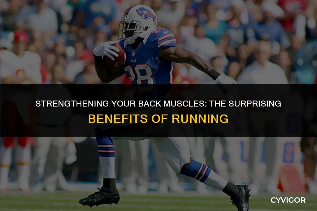 does running involve back muscle site org