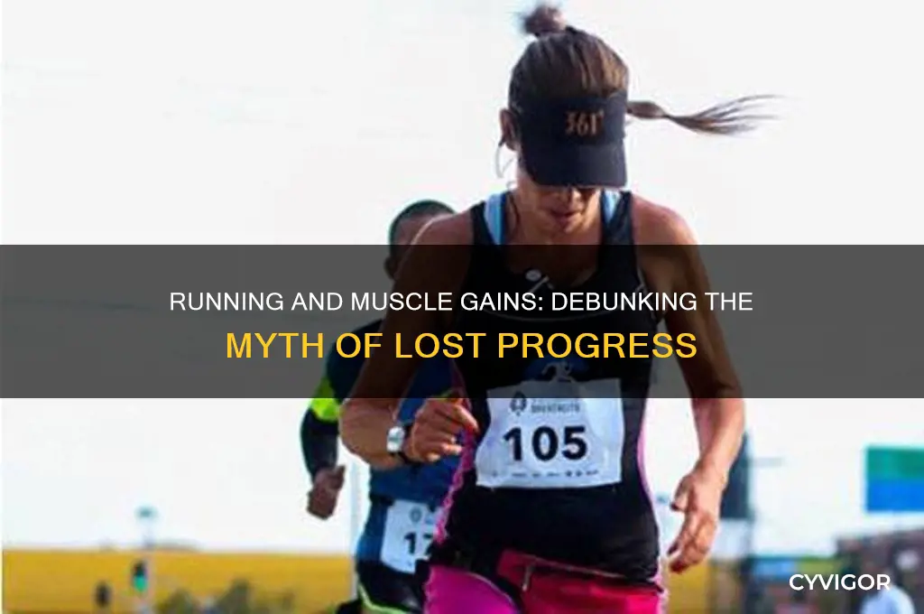 does running kill muscle gains
