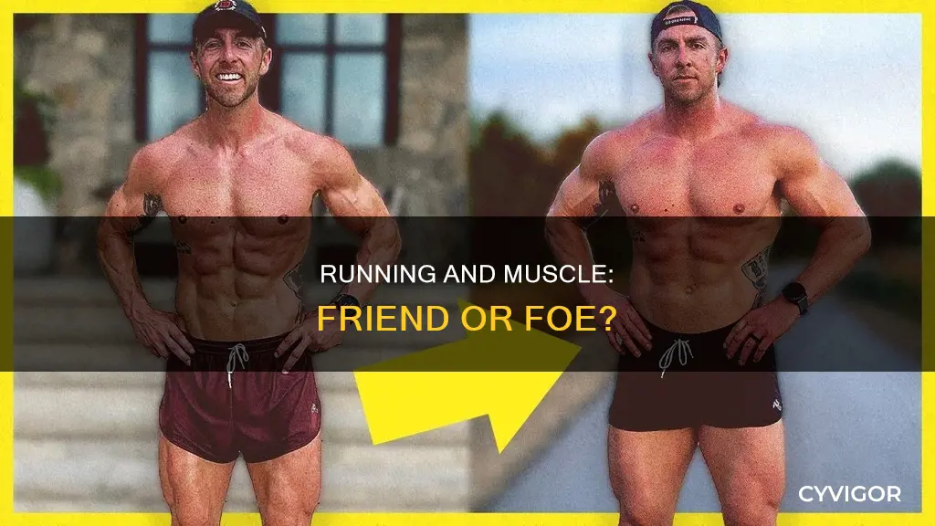 does running melt muscle