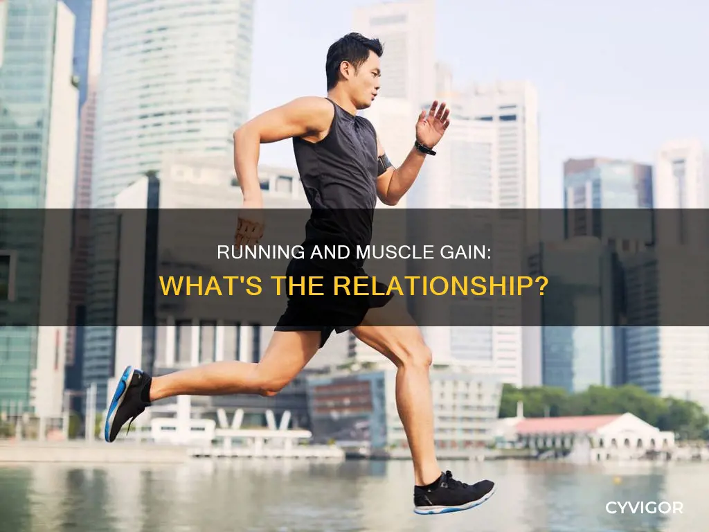 does running put on muscle