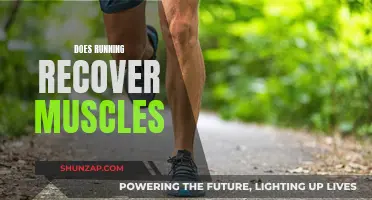 Running: Muscle Recovery or Damage?
