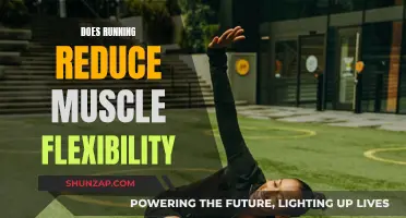 Running's Impact: Muscle Flexibility Reduced or Enhanced?