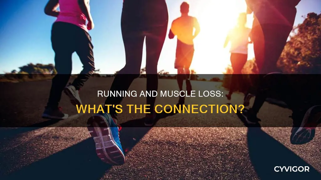 does running reduce muscle