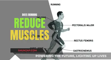 Running and Muscle Loss: What's the Connection?