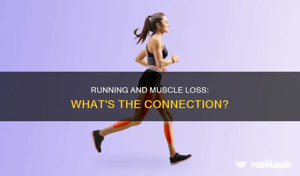 does running reduce muscles