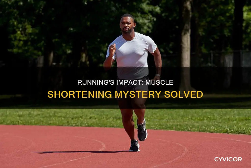 does running shorten muscles