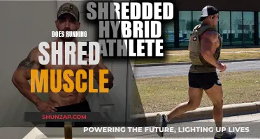 Running and Muscle Gain: Friends or Foes?