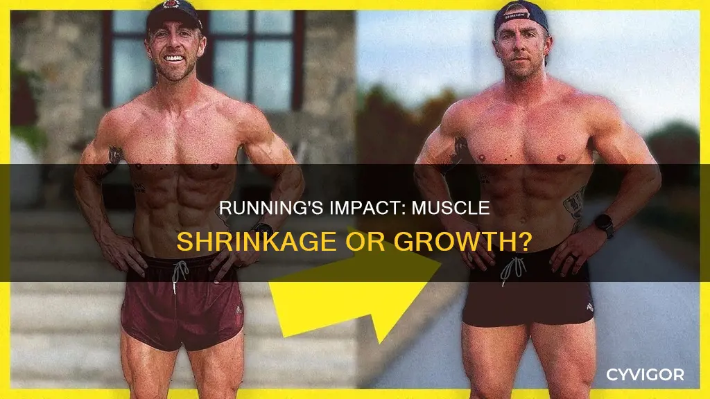 does running shrink muscles