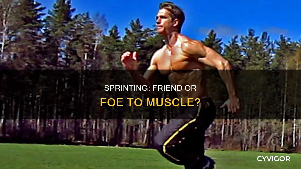 does running sprints burn muscle