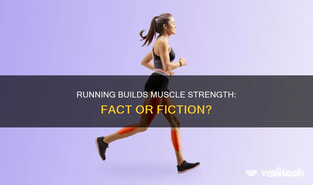 does running stregnth muscles