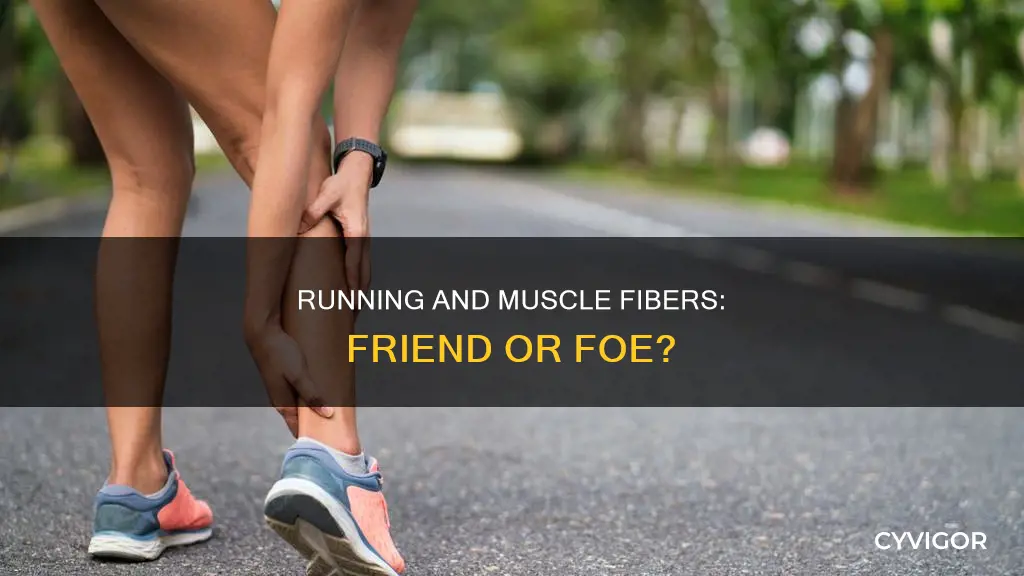 does running tear muscle fibers