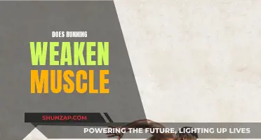 Running's Impact: Muscle Weakening or Strengthening?