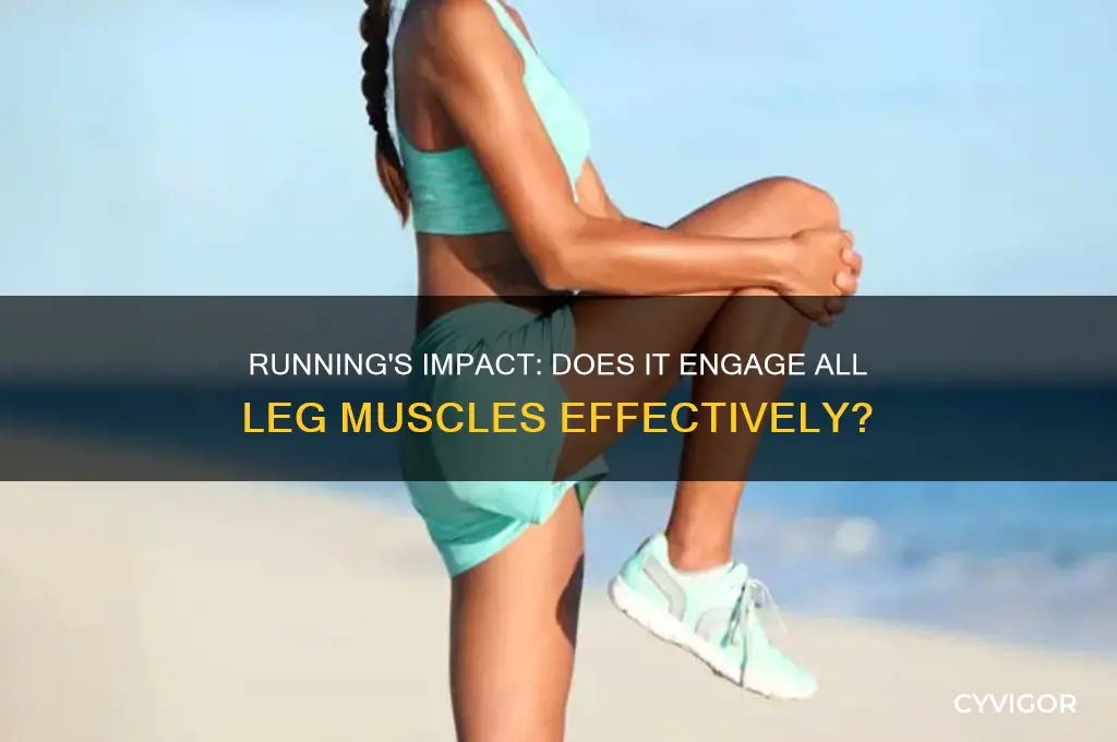 running-s-impact-does-it-engage-all-leg-muscles-effectively-cyvigor