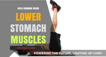 Running and Lower Abs: Does Jogging Tone Your Stomach Muscles?