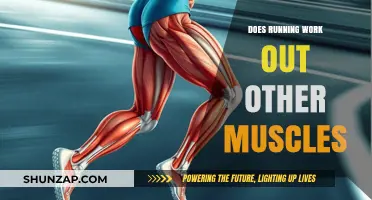 Running's Full-Body Benefits: Beyond Legs to Core and Upper Muscles